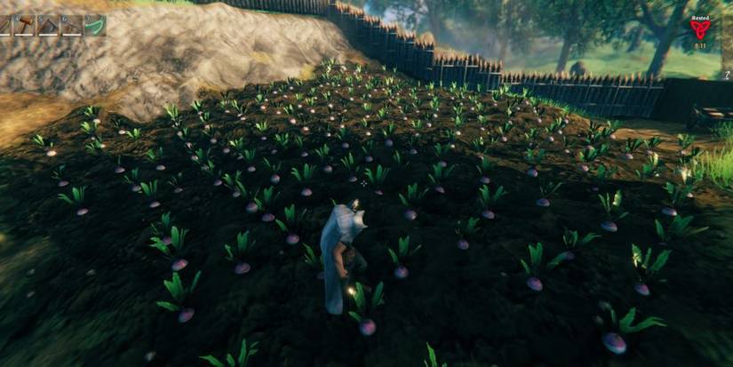 Farms Are The Beating Heart Of Any Settlement In Valheim