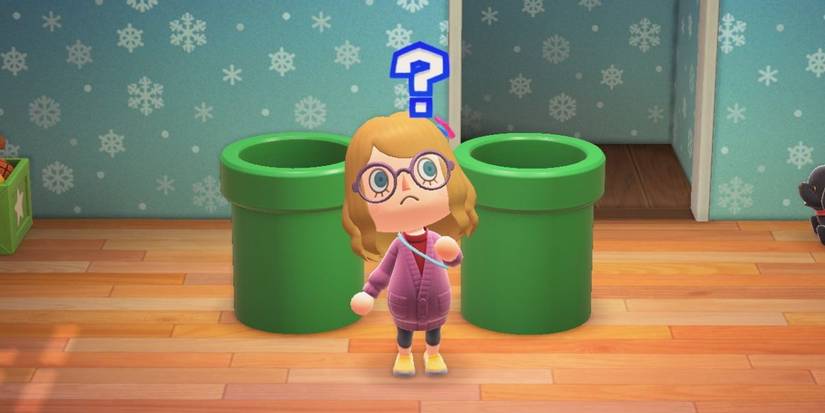 Pipes placed inside a player's home in Animal Crossing New Horizons
