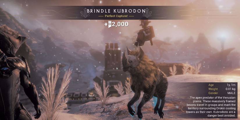 Animal-Conservation-Warframe