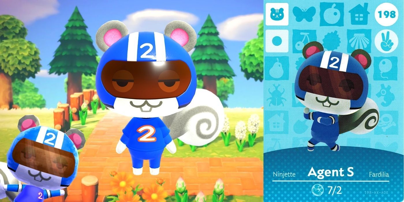 Animal Crossing: 10 Things You Need To Know About Agent S
