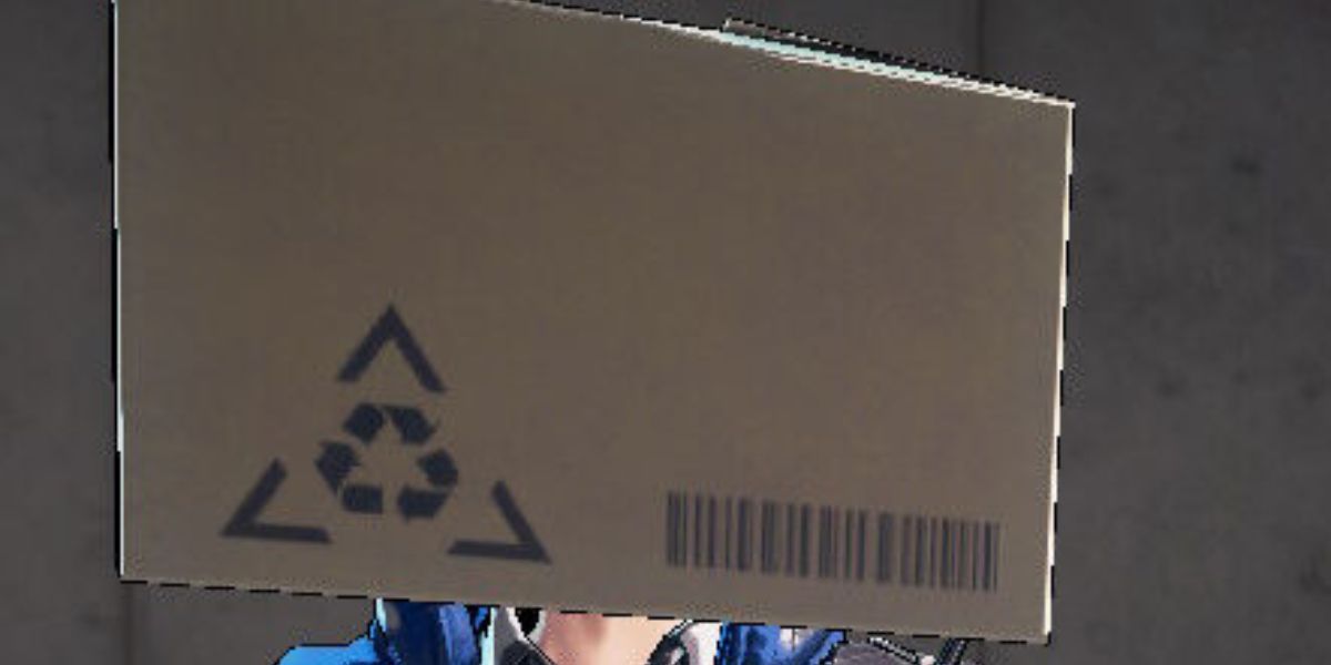 Astral Chain Cardboard Box