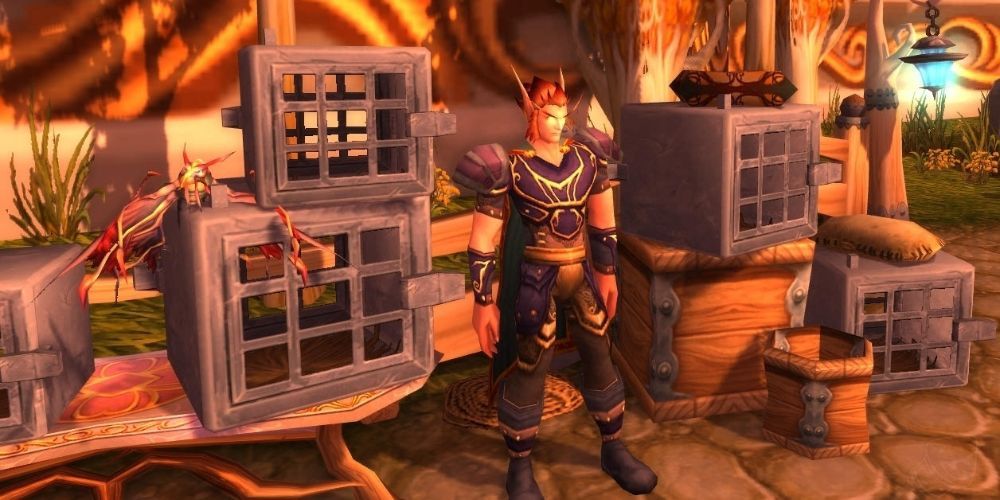 Battle Pet Trainer Battle Pets Things To Know World of Warcraft Shadowlands