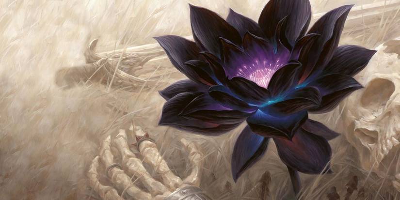 magic black lotus