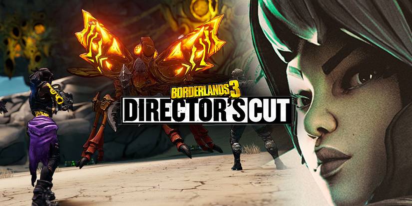 Borderlands 3 Raid Boss