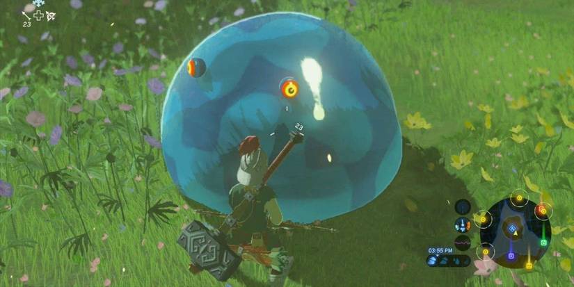 Breath of the Wild Big Chuchu