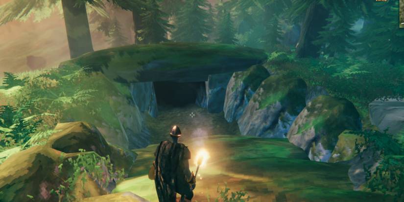 Yellow Mushrooms Valheim