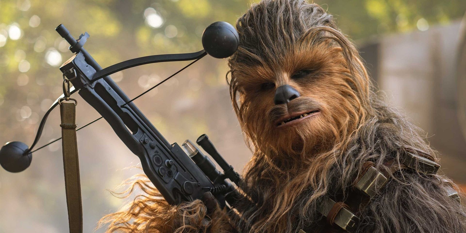 Chewbacca holding his bowcaster