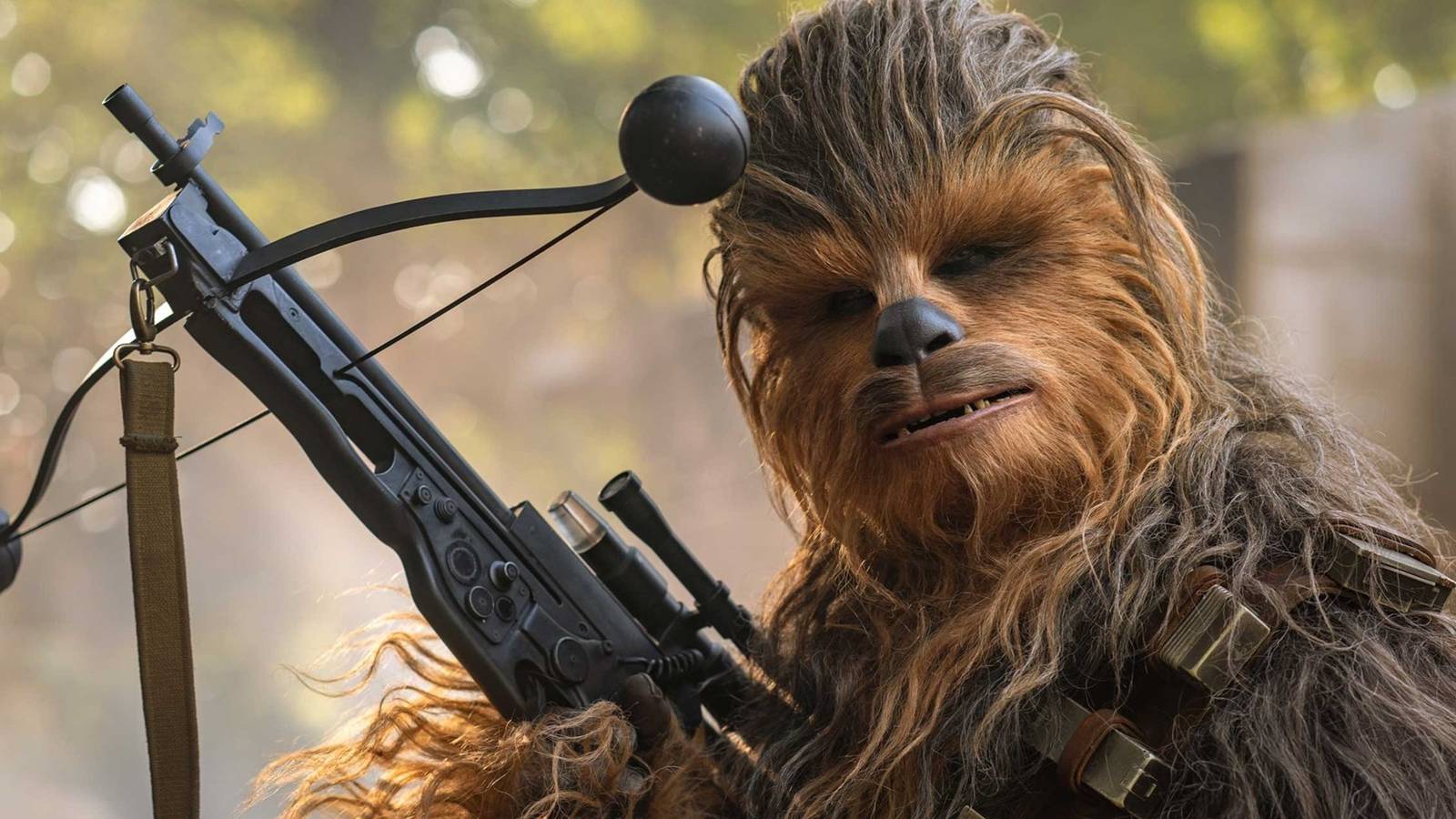 Chewbacca holding his bowcaster