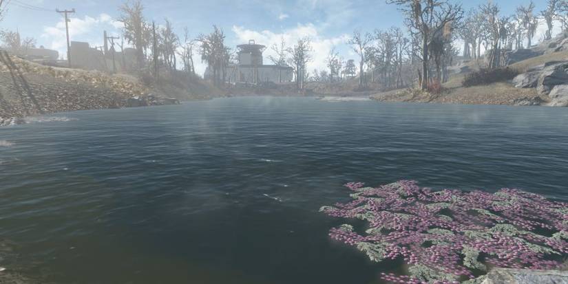 Dark Hollow Pond Is Crawling With Mirelurks and Raiders In Fallout 4