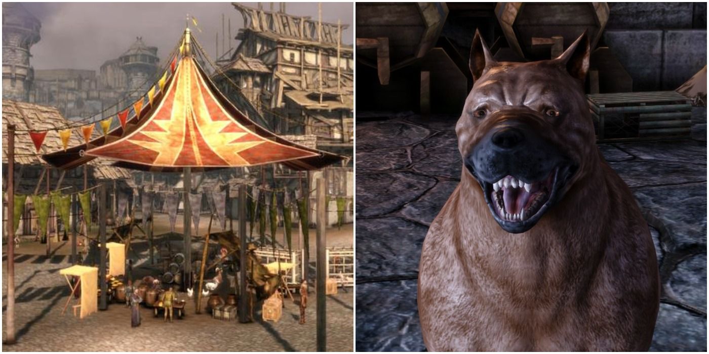 Denerim and the Dog in Dragon Age: Origins