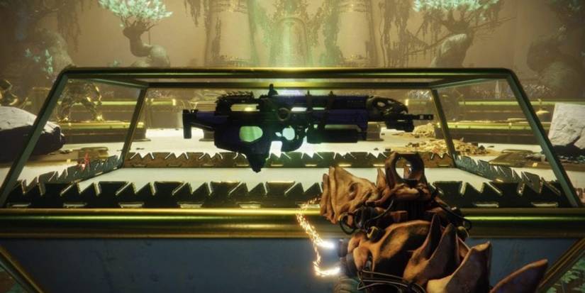 Destiny 2 Bad Juju Exotic Rifle In Case