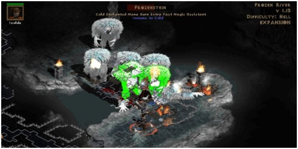 Diablo 2 Battling Against A Frozenstein With The Cold Enchantment