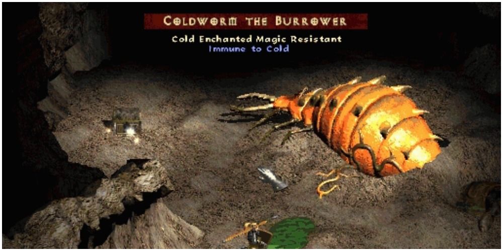 Diablo 2 Coming Across Coldworm The Burrower In The Cavern