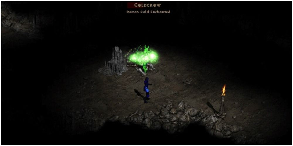 Diablo 2 Fighting A Poisoned Coldcrow