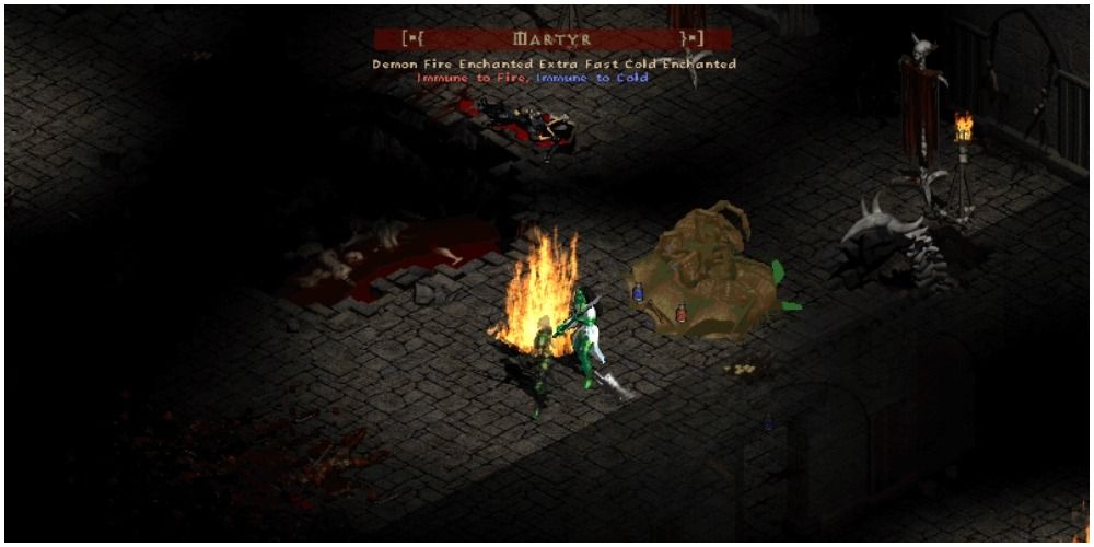 Diablo 2 Fighting A Sub Boss Immune To Cold And Fire