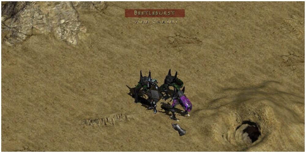 Diablo 2 Fighting The Beetleburst In Melee Combat
