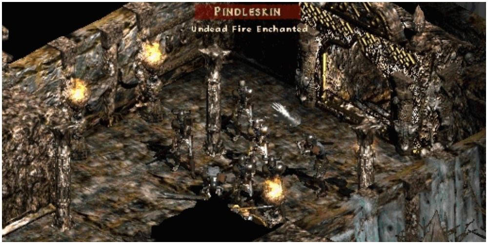 Diablo 2 In The Thick Of Combat With Pindleskin