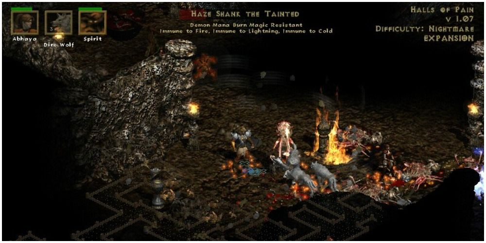 Diablo 2 Losing Mana Against Haze Shank