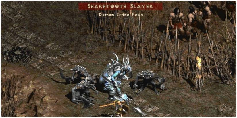 Diablo 2 Sharptooth Slayer Blocking The Path Forward