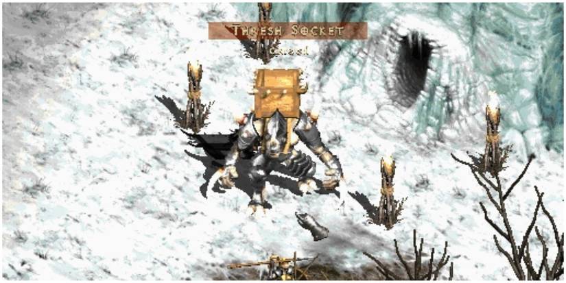 Diablo 2 Thresh Socket Standing In The Field