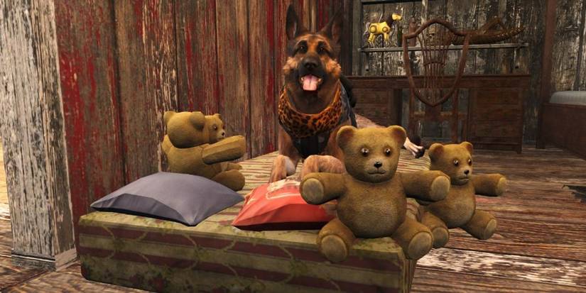 Dogmeat With A Collection Of Teddy Bears In Fallout 4