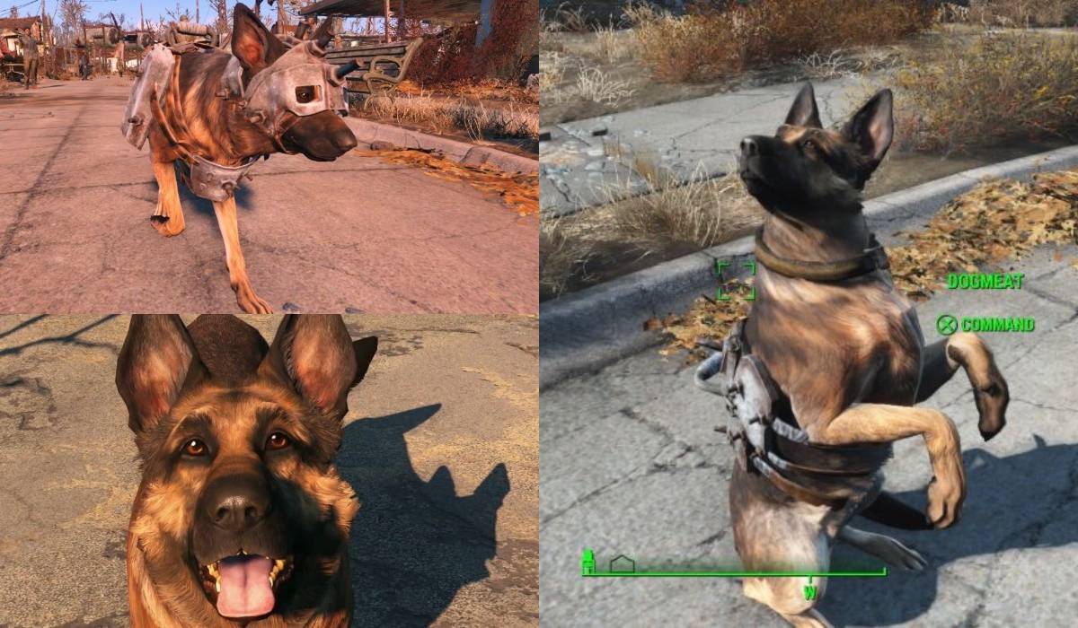 fallout dog helmet icon legion Dogmeat Chibi Bag Official Bethesda Gear Store Dog Armor Fallout - Etsy