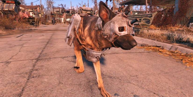 Dogmeat In Armor and Helmet In Fallout 4