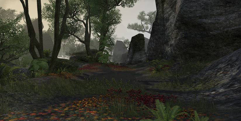 ESO Rootwater Spring