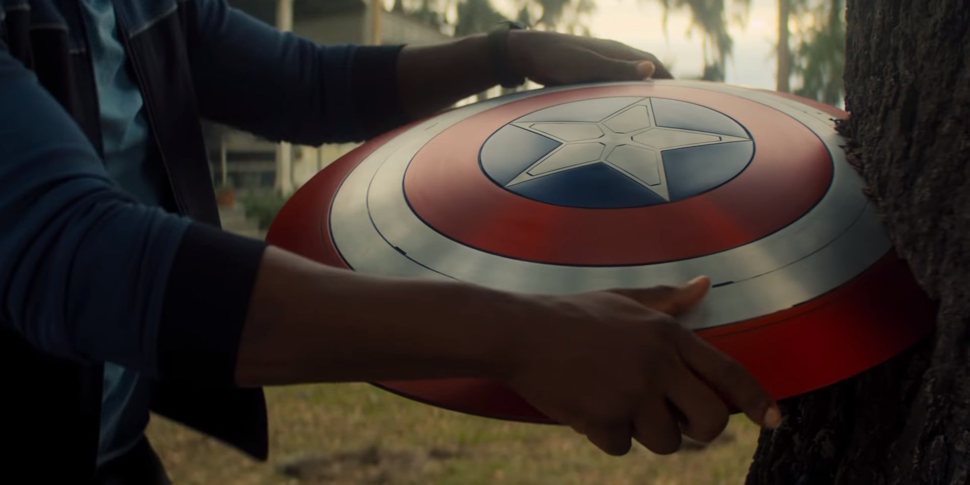 captain america shield in tree the Falcon and the Winter Soldier