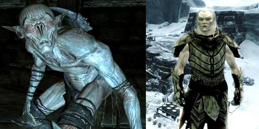 Falmer and Snow Elf