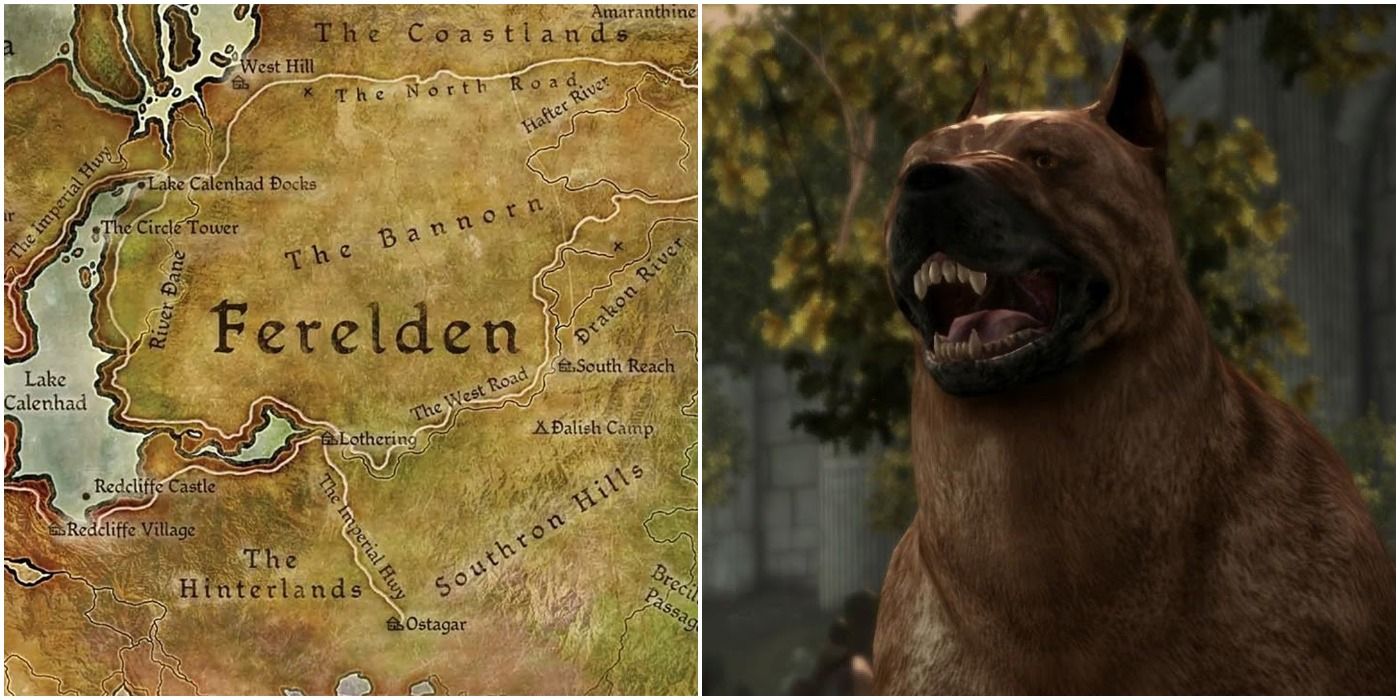 A map of Ferelden and the Dog in Dragon Age: Origins