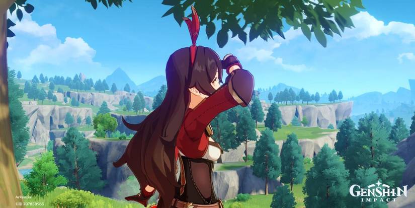 Genshin Impact Amber Searching