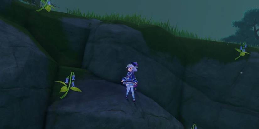 Genshin Impact Qiqi Zoom Out