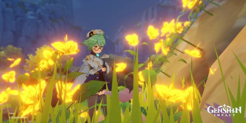 Genshin Impact Sucrose Flowers