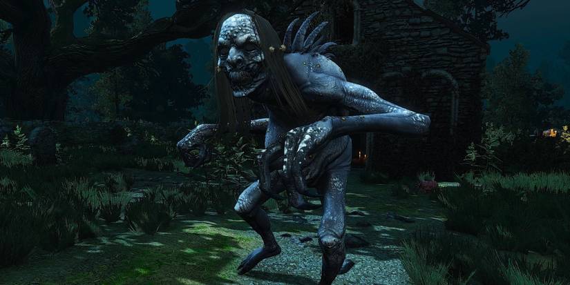 Grave Hag From The Witcher 3