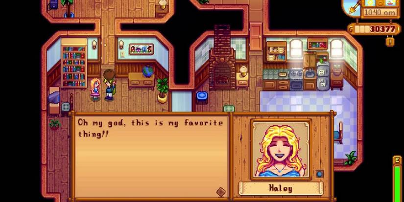 Geode Example Stardew Valley: All Qi Challenges, Ranked From Easiest To Hardest