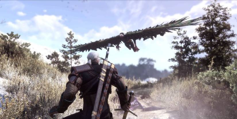 Harpy in The Witcher 3