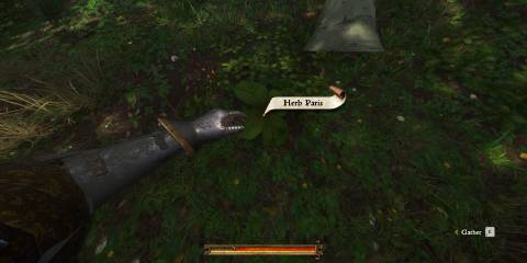 Herb Paris in Kingdom Come Deliverance