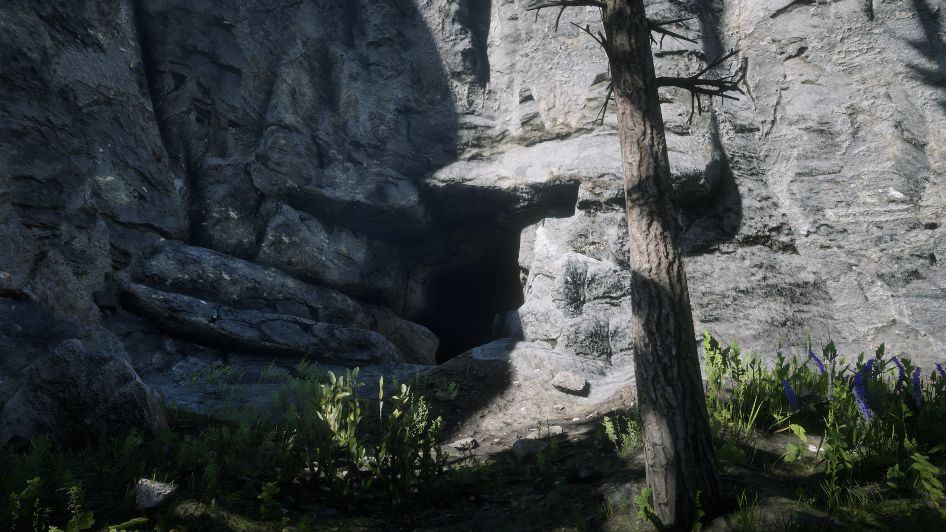 Red Dead Redemption 2 Hidden Tunnel