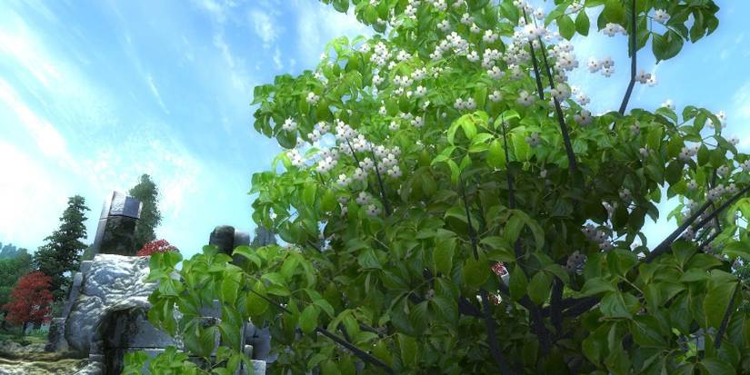 Improved Trees And Flora mod for Elder Scrolls 4 Oblivion