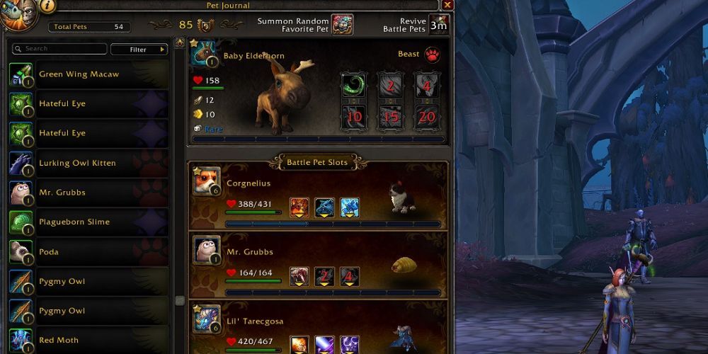 Interface Menu Slots Battle Pets What To Know World of Warcraft Shadowlands