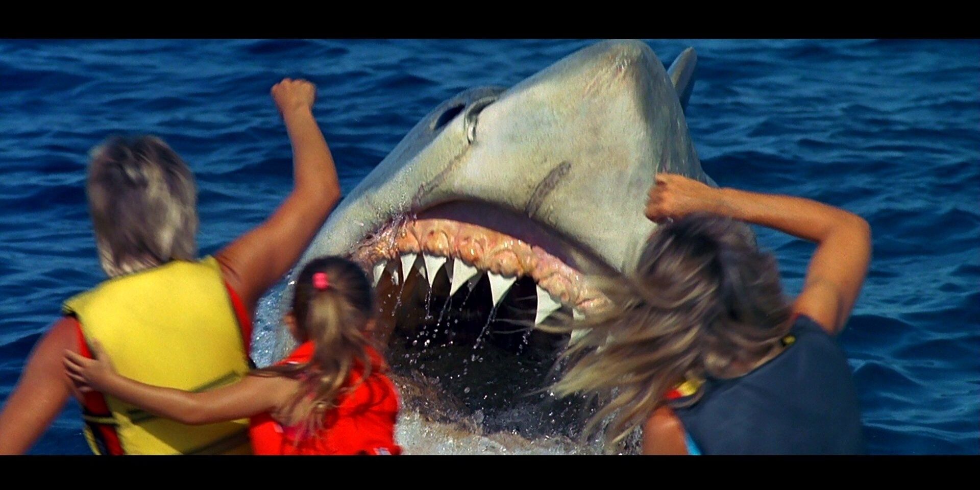 Jaws: The Revenge. 