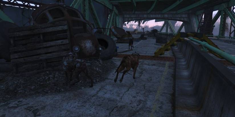This Overpass In Fallout 4 Is Guarded By Three Attack Dogs