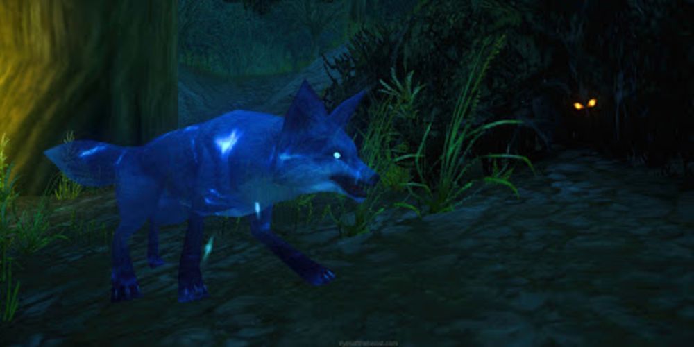 Lightning Paw Rarest Obtainable Hunter Pets Shadowlands Beast Master World of Warcraft