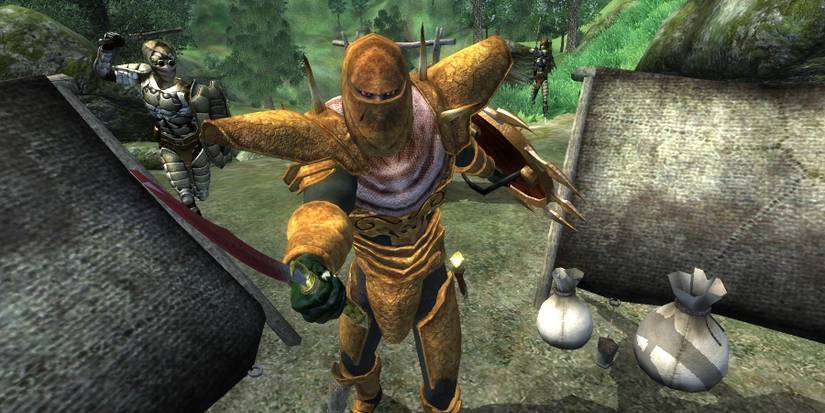 Maskar's Overhaul Mod For Oblivion