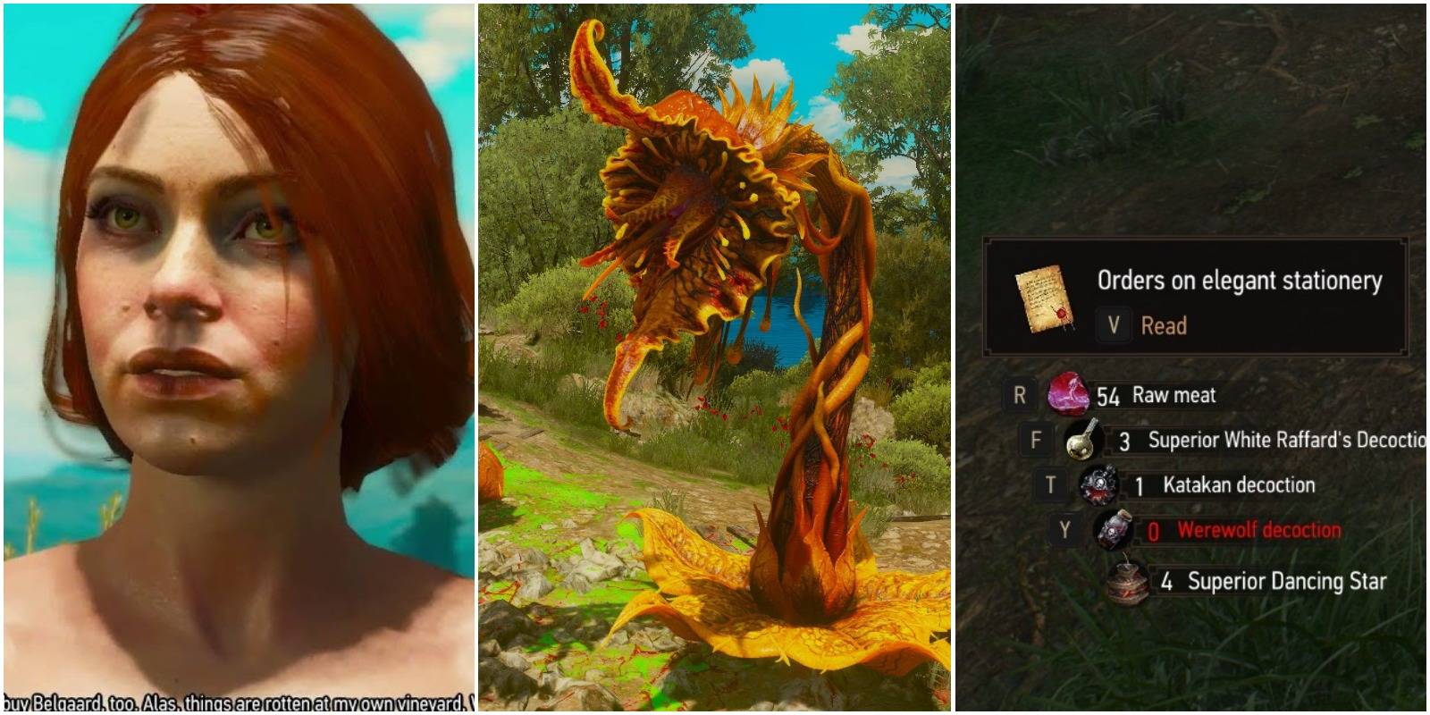 Matilda, Archespore and the Orders for the Vermentino Quest