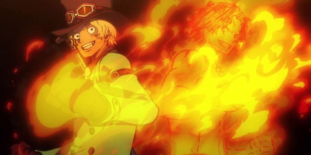 One Piece Mera Mera no Mi Ace Sabo Logia Devil Fruit Fire