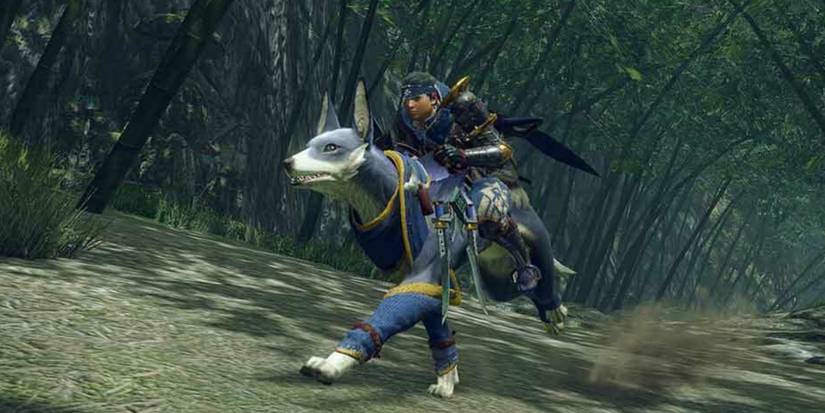 Monster Hunter Rise mount