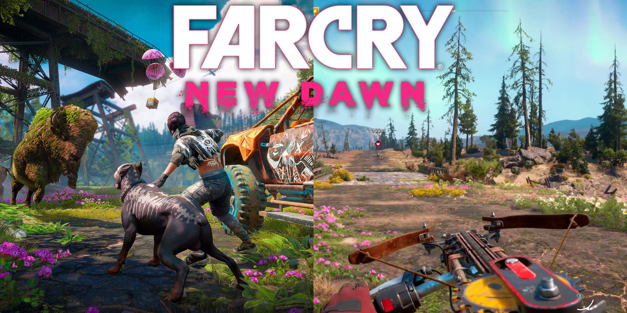 Review: Far Cry New Dawn