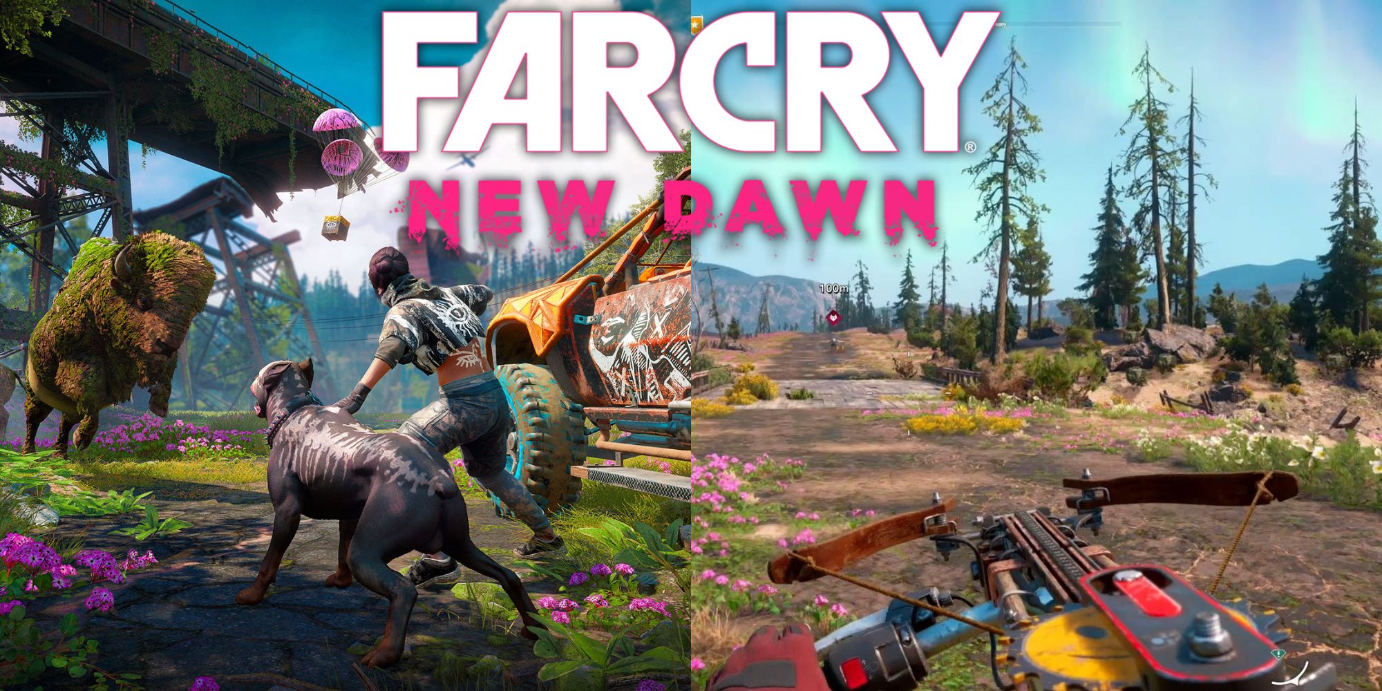 You must play 'Far Cry 5' before playing 'Far Cry: New Dawn